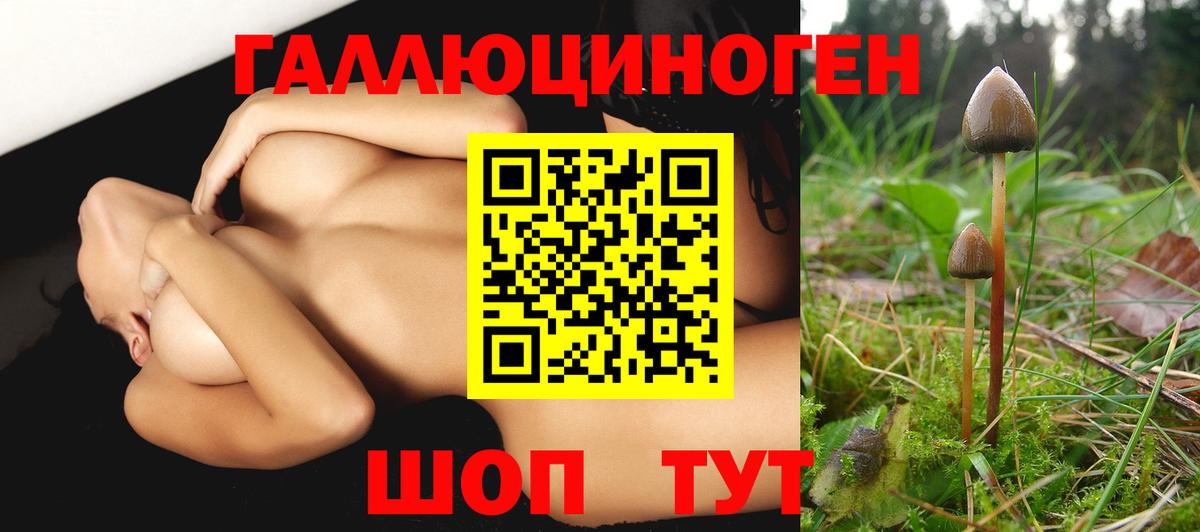 Галлюциногенные грибы Magic Shrooms  Вход с VPN  Коломна  Псилоцибиновые грибы GOLDEN TEACHER 